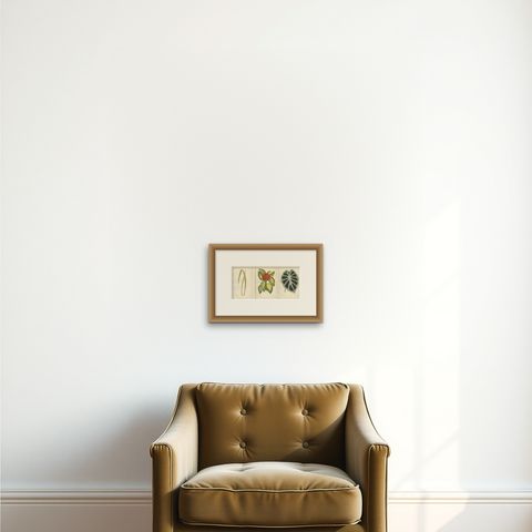Variegated Elegance: A Study of Patterned Botanicals, Published in 1880, shown framed on a wall