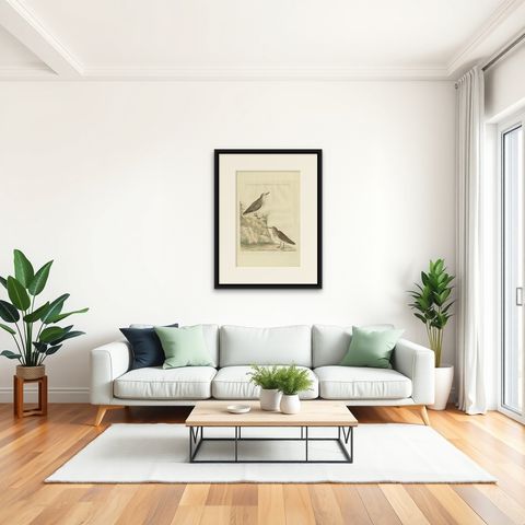 Antique Bird Print of a Sanderling by Sepp & Nozeman, 1797, shown framed in a room