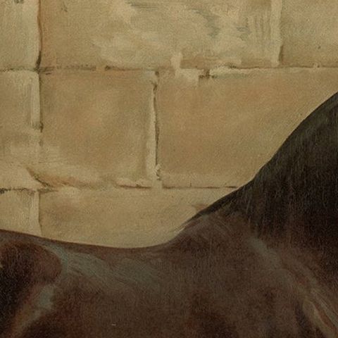 Antique Lithograph Print of East Prussian Horse, 1898, Good Condition, close-up 1