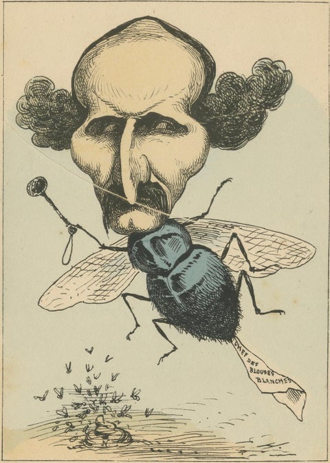 Imperial Menagerie: Joseph-Marie Piétri - The Fly (Deceit - Espionage), 1870, close-up 1