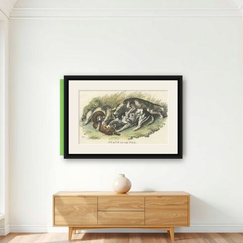 Antique Hand-Colored Print of Hunting Dogs Attacking a Fox, 1812, shown framed on a wall