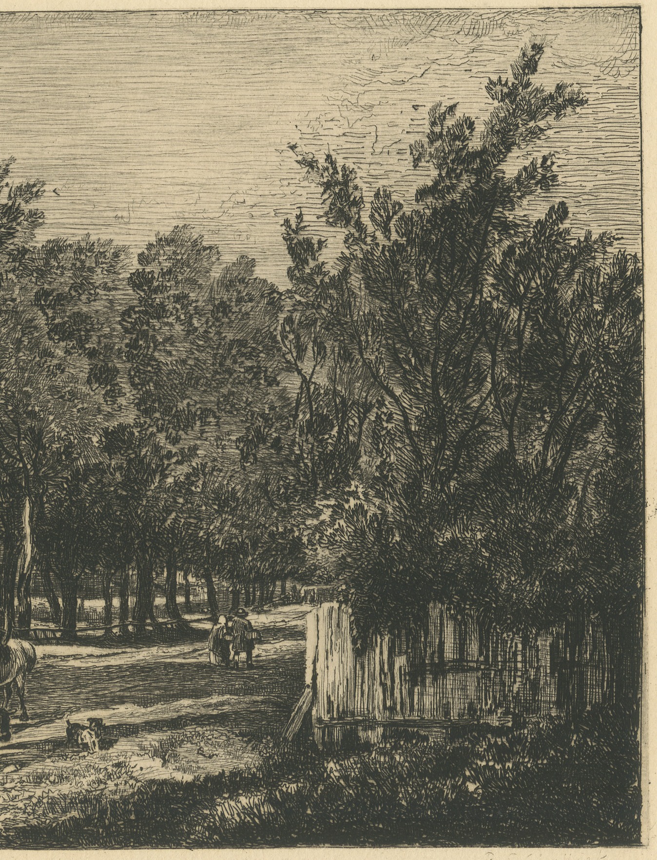 Lane with Cattle after John Crome, Antique Etching by Chattock, circa 1875, view 4