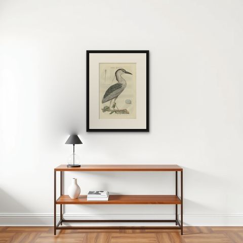 Antique Bird Print of the Black-Crowned Night Heron by Sepp & Nozeman, 1789, shown framed on a wall