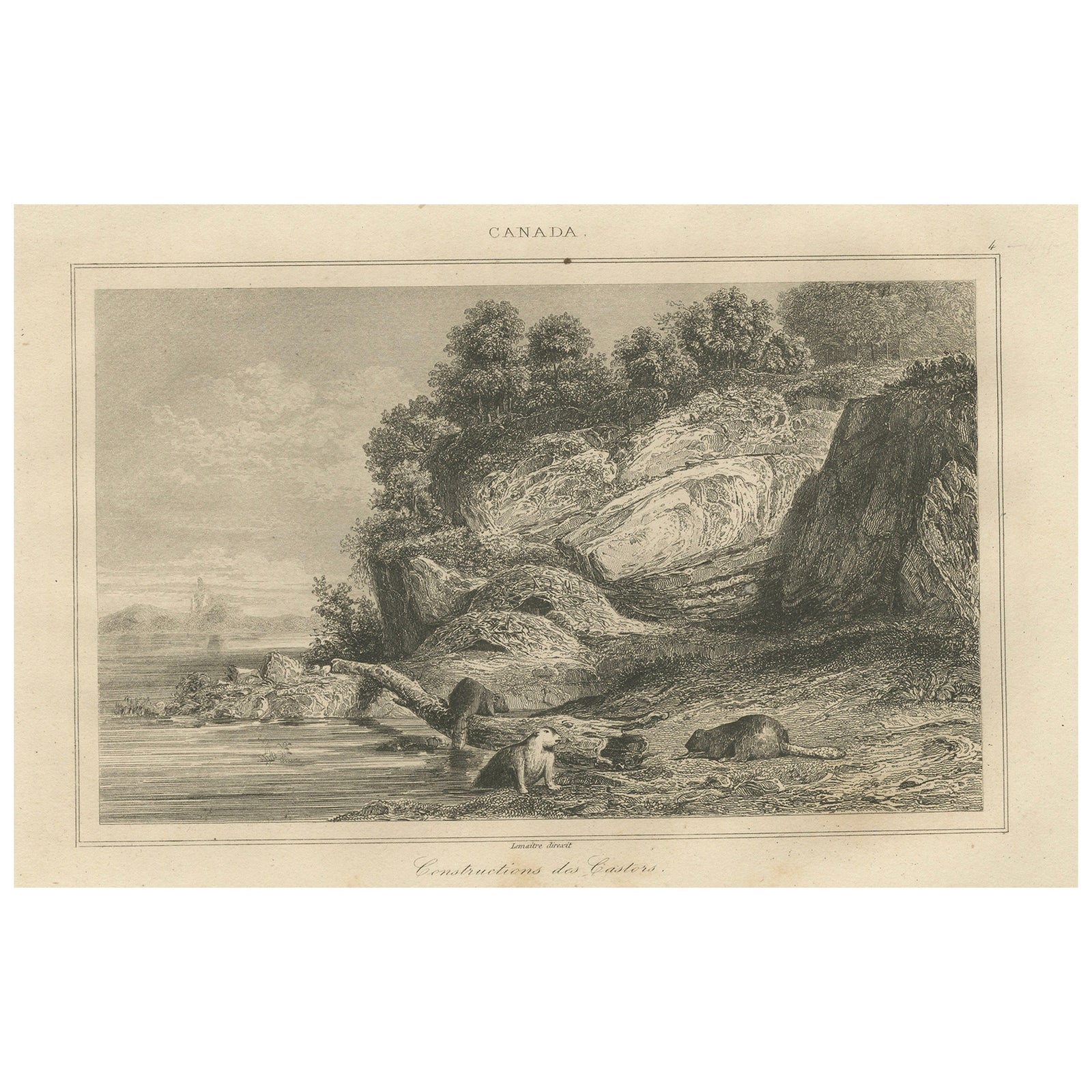 Beaver Dams on a Rocky Shore, 19th Century Canadian Wildlife Engraving