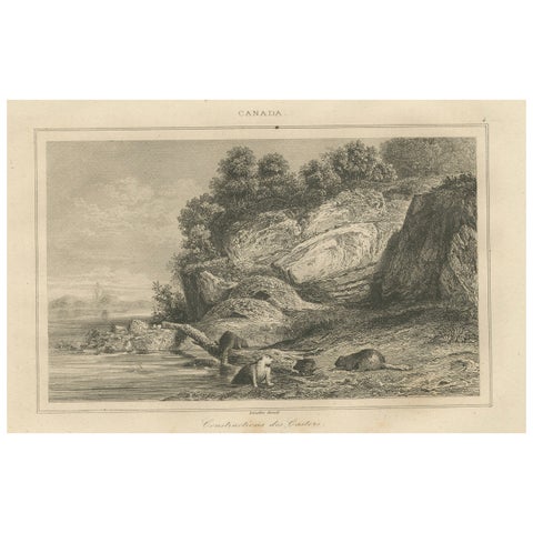 Beaver Dams on a Rocky Shore, 19th Century Canadian Wildlife Engraving