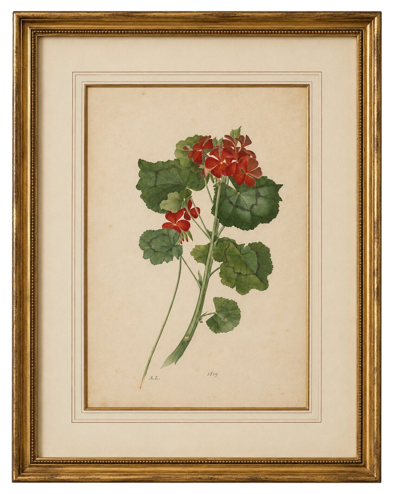 Two Stems with Red Flowers, Botanical Watercolor by A.L., 1819