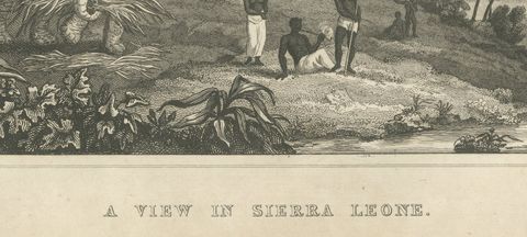 View in Sierra Leone, West Africa, Elephant, Antique Engraving, circa 1825, close-up 2