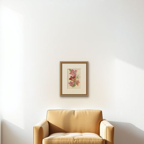 Vibrant Blooms of Sword Lily: Gladiolus Gandavensis Botanical Illustration, 1855, shown framed on a wall