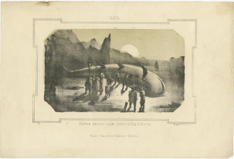 Maritime Wonders: Beached Leviathans of the 19th Century in Siberia, circa 1850, view 2