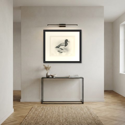 Scaup Drake with Two Mussel Shells, Plate CLXXXIII after Lilian Medland, c. 1909, shown framed in a room