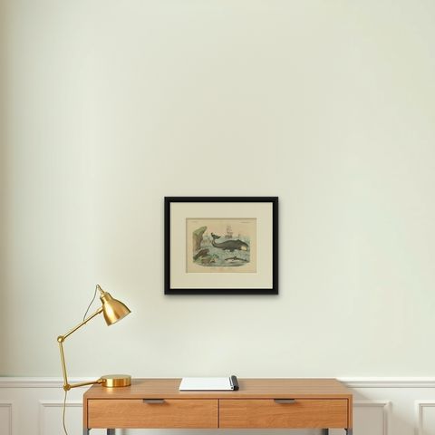 Antique Whaling Scene Print with Bowhead Whale, Dolphin and Sea Lion, circa 1890, shown framed on a wall