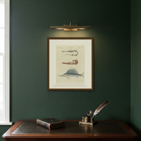 Sailfish, Cornetfish and Trumpetfish, Antique Bertuch Print, circa 1805, shown framed on a wall