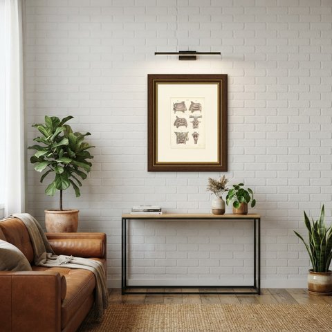 The Lining Membrane of the Nose, Antique Hirschfeld Anatomy Print, 1866, shown framed in a room