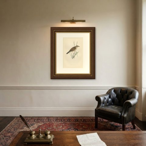 Aquatic Warbler on a Reed Stem, Antique Hand Colored Morris Plate, 1896, shown framed on a wall