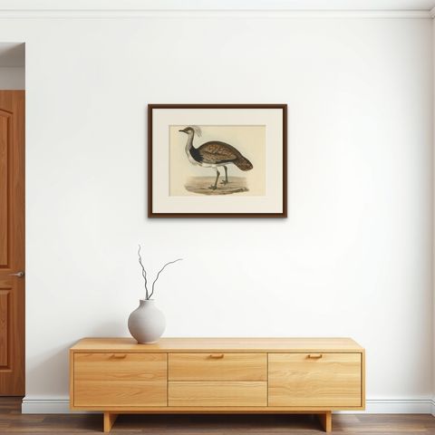 Antique Hand-Coloured Bird Print of the Ruffed Bustard, 1832, shown framed on a wall