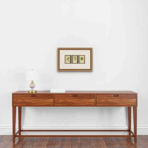 Cape Pondweed, Umbrella Plant & Bulrush, Antique Botanical Prints c.1897, shown framed on a wall