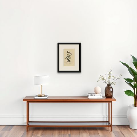 Old Bird Print of a Pitta Ground-roller, Channel-billed Cuckoo, Dusky Broadbill, shown framed on a wall