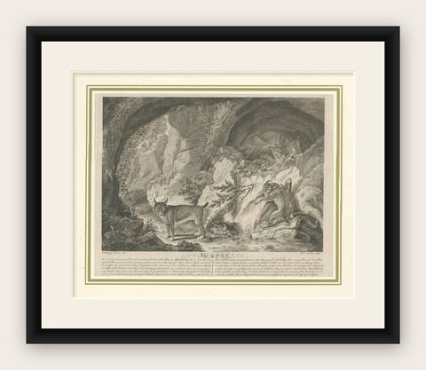 Antique Print of a Lynx by J.S. Müller, 1794, shown framed