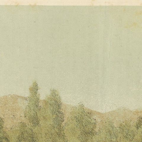 Original Old Bird Print of a Barbary Partridge, close-up 1