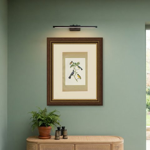 Tanagers and Honeycreepers, Brazilian Bird Print, Descourtilz, 1944, shown framed on a wall
