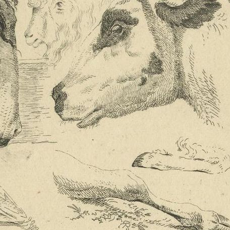 Detailed Etching of Horse, Cow, Goat, and Sheep Heads by Oberman, 1809, close-up 6