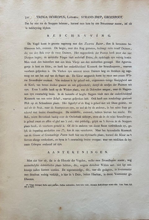 Antique Bird Print of the Green Sandpiper by Sepp & Nozeman, 1809, view 11