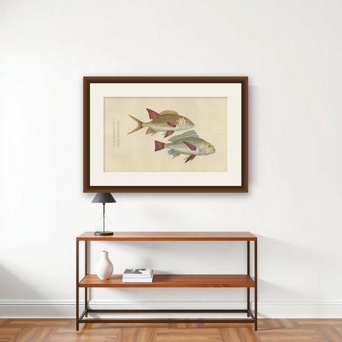 19th Century Sheepshead Seabream and Squirrelfish Antique Fish Print, 1845, shown framed on a wall