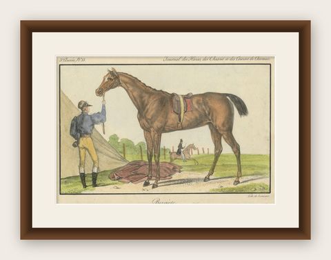 19th Century Hand-Colored Lithograph of Horse "Bergère" from Journal des Haras, shown framed