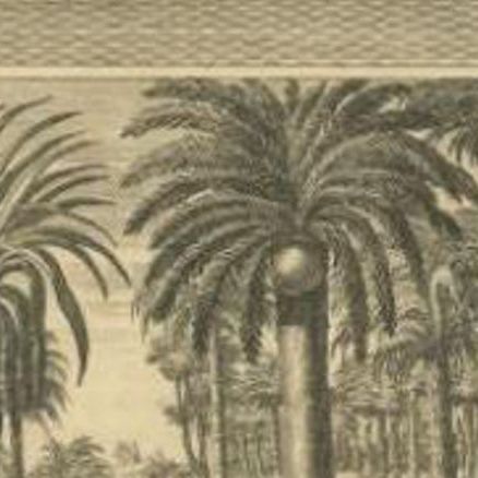 Antique Print of Palm Trees and the Factory in Suratte in India, 1719, close-up 1