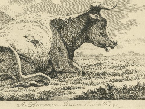 Etching of Resting Cow by Fence: Rural Scene by Anthony Oberman, 1810, close-up 2