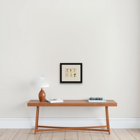 Cabinet-Size British Butterfly Engravings by Jardine & Lizars, 1835, shown framed on a wall
