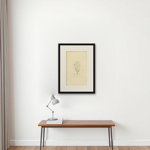 Antique Botany Engraving of Linum Catharticum, circa 1817, shown framed on a wall