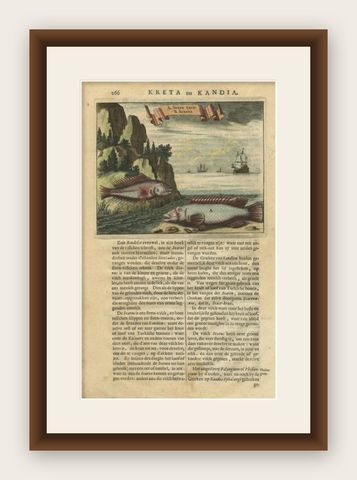 Rare Engraving Picturing Fish from Crete and Dutch Ships, Coloured, 1688, shown framed
