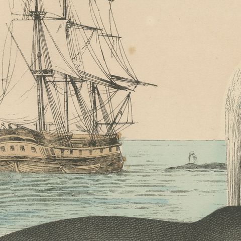 Antique Whaling Scene Print with Bowhead Whale, Dolphin and Sea Lion, circa 1890, close-up 5