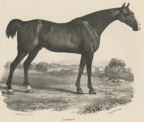 Johnny & An Old Hunter, Pair of Antique Sporting Horse Lithographs c.1840, close-up 1