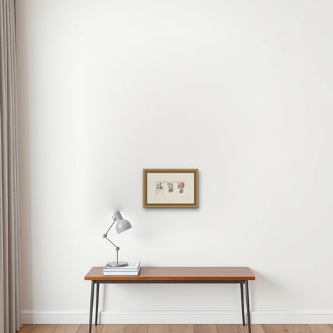 Set of Three Botany Prints Hepatica, Large-Leaved Saxifrage, Primula, shown framed on a wall