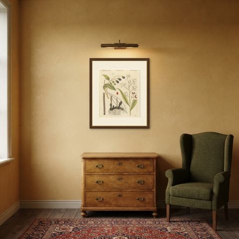 Cassia Cinnamon and Galangal Spices, Antique Bertuch Print, circa 1805, shown framed in a room