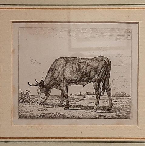Antique Etching of a Grazing Cow by Van Troostwijk, Framed, 1810, close-up 2