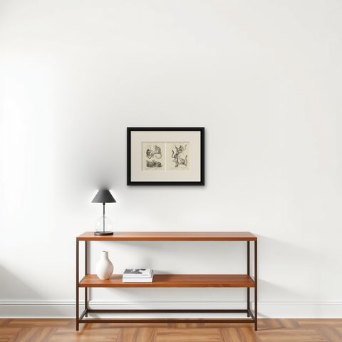 Golden-crested, Lion Tamarin & Lemur Species, Lithographs by C.C. Last, 1836, shown framed on a wall