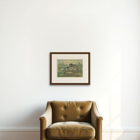 Antique Bird Print of Black Terns in Marsh Landscape, 19th Century, shown framed on a wall