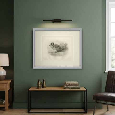 Teal Drake by the Reeds, Plate CLXXVI after Lilian Medland, c. 1909, shown framed on a wall