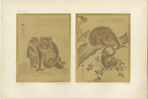 Japanese Monkey Prints: Serene 19th-Century Nature Studies with Peaches, view 2