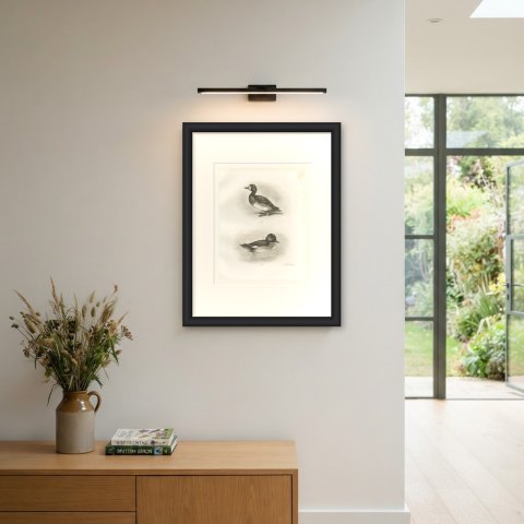 Female Scaup and a Second Female Diving Duck after Lilian Medland, c. 1909, shown framed on a wall