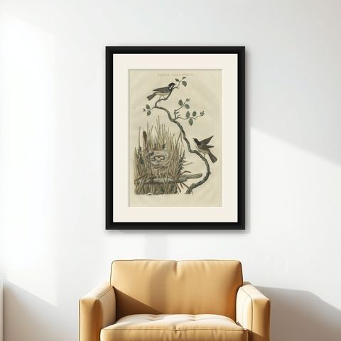 Original Hand-Colored Bird Print of the Marsh Tit with Nest and Eggs, 1770, shown framed on a wall