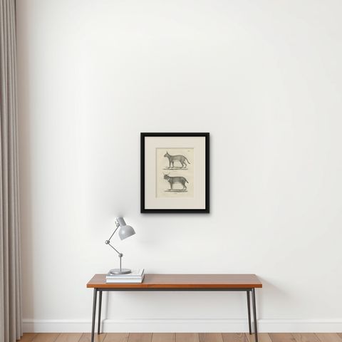 19th-Century Lithograph of the Caracal and Lynx in Striking Profiles, shown framed on a wall