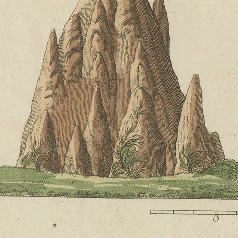 Termites and Termite Mound with Swollen Queen, Antique Bertuch Print, circa 1805, close-up 3
