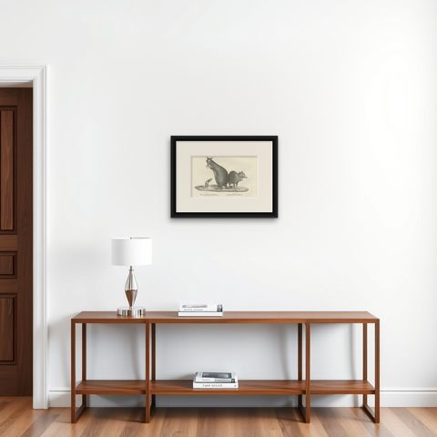19th-Century Lithograph of a Rust-Colored Phalanger and Striped Kangaroo, shown framed on a wall