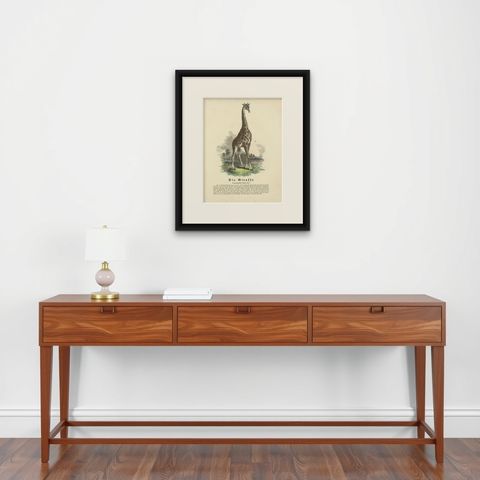 Die Giraffe (Giraffe) - Hand-Colored Zoological Print, Circa 1840, shown framed on a wall