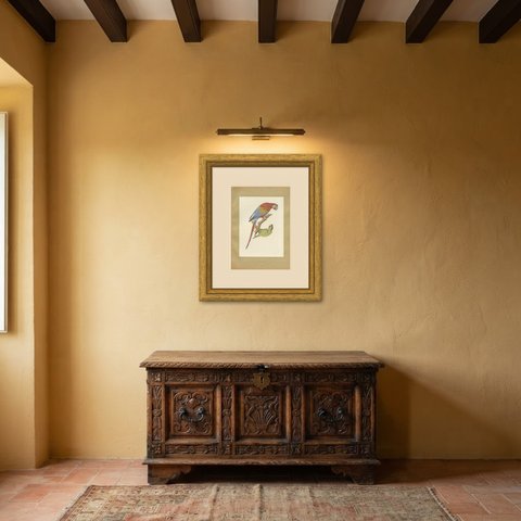 Scarlet Macaw with Parakeets, Brazilian Bird Print, Descourtilz, 1944, shown framed in a room