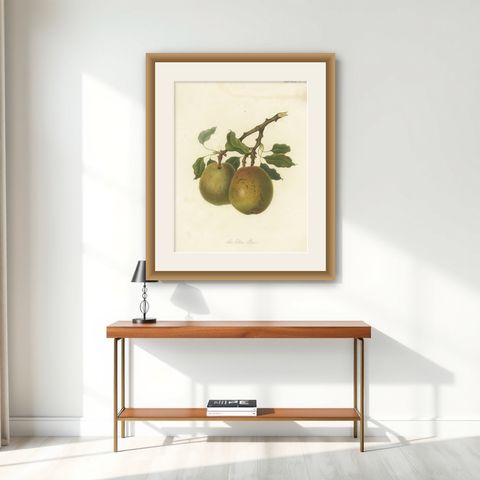 Antique Fruit Print of the Elton Pear, shown framed on a wall
